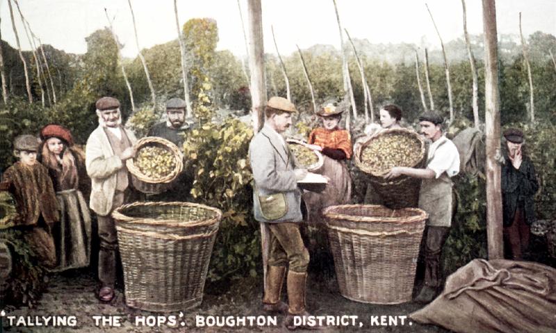 TALLYING HOPS.jpg